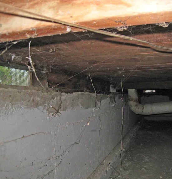 Crawl Space Mold Removal in Oakland, CA