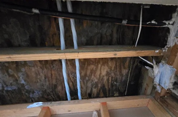 Roof Leak Water Damage Cleanup in Oakland, CA