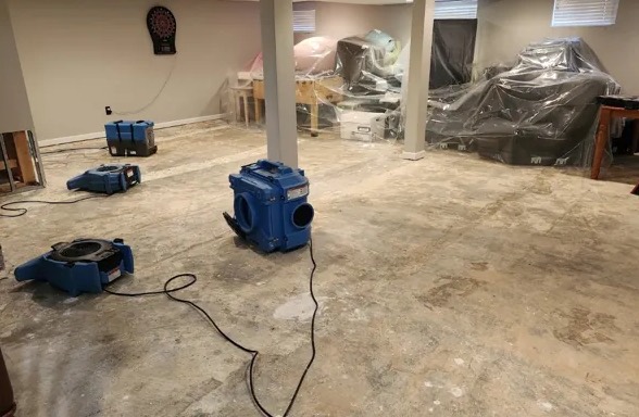 Mold Damage Repair in Oakland, CA